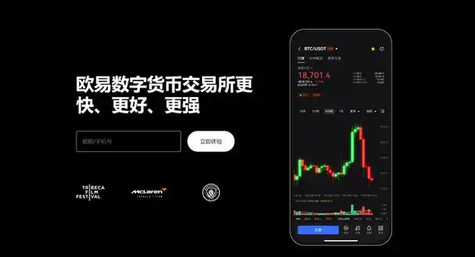 C币pay下载APP平台展示图